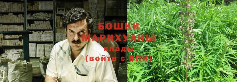 Марихуана OG Kush  Верея 